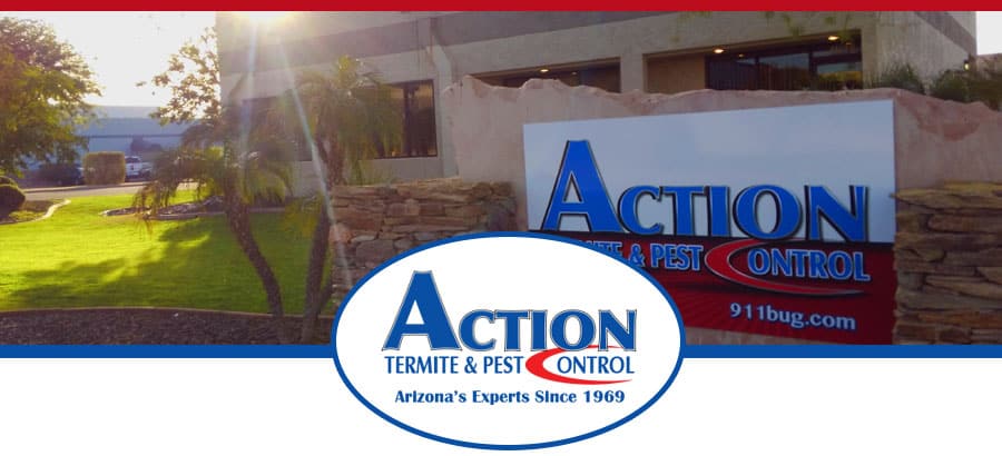 About Phoenix Termite Company