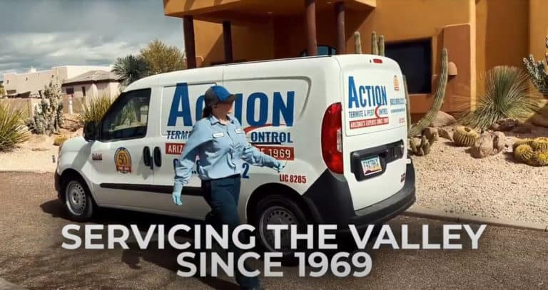 ACTION Termite and Pest Control