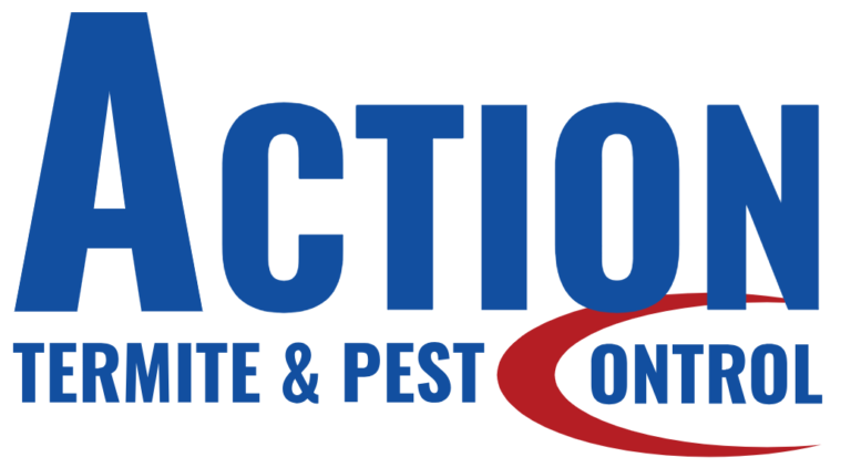 Pest Control Phoenix | Termite & Exterminator Services | ACTION Termite ...