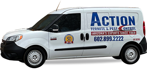ACTION Termite and Pest Control Truck