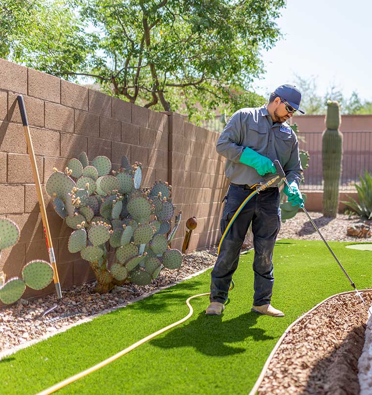 Termite Technician Spraying Exterior Perimeter of Phoenix Home
