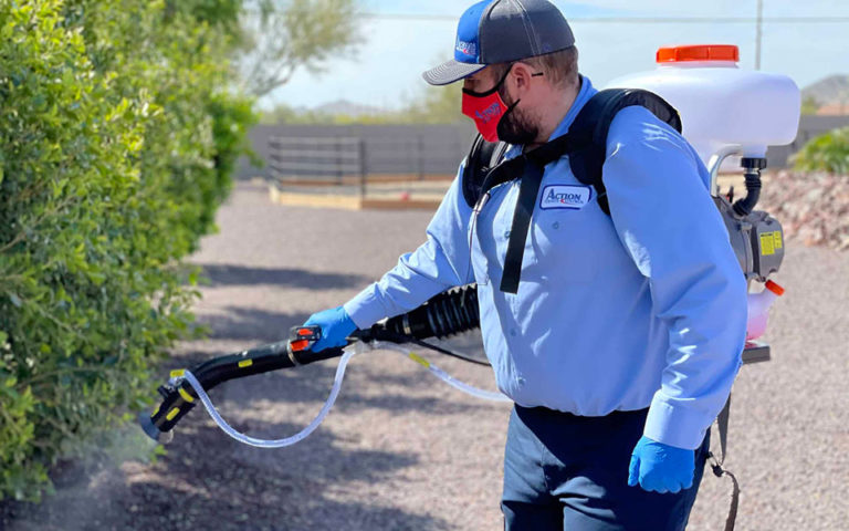 Mosquito Pest Control Phoenix