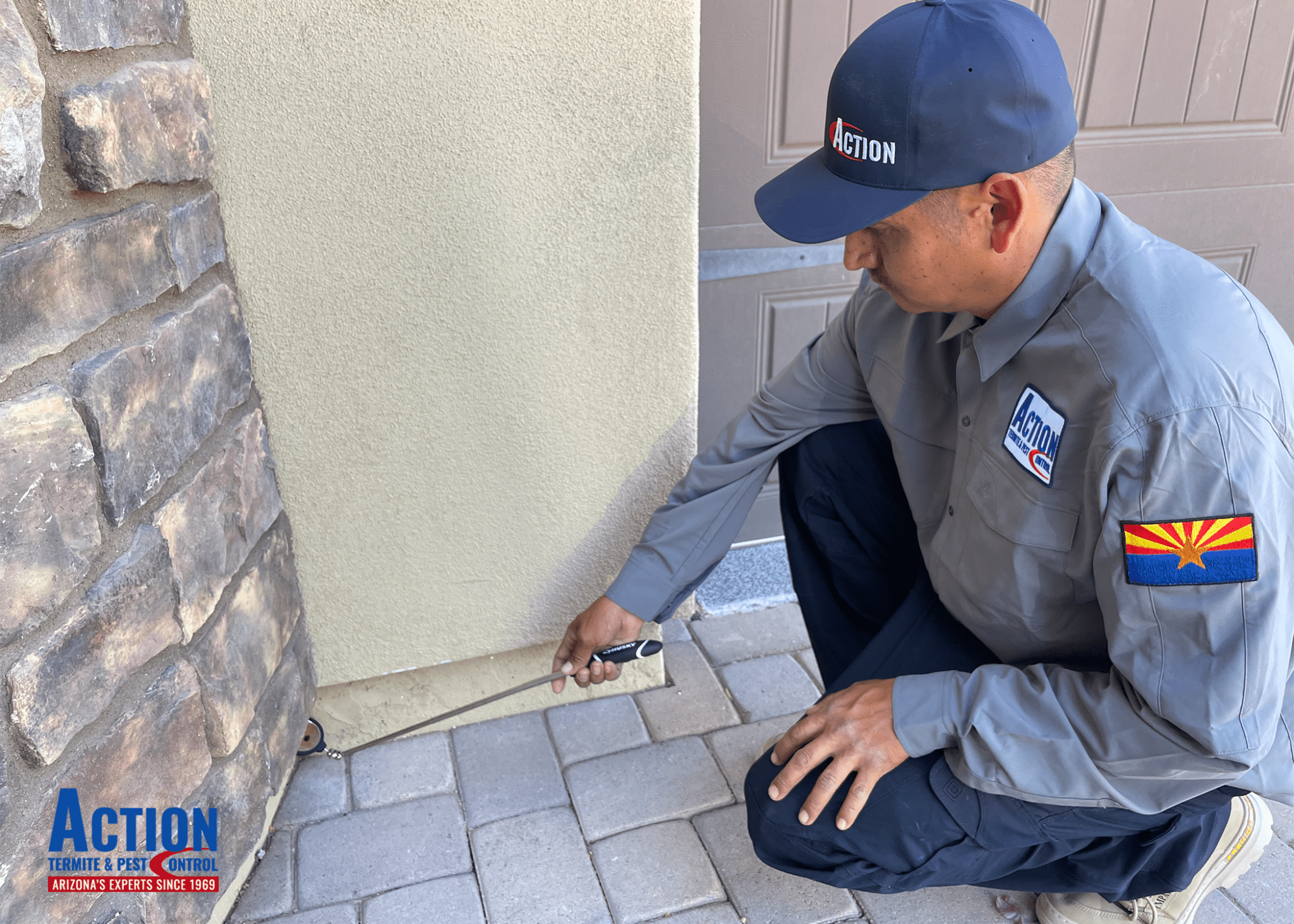 Scorpion Pest Control Phoenix Scorpion Control Phoenix (Call Now)