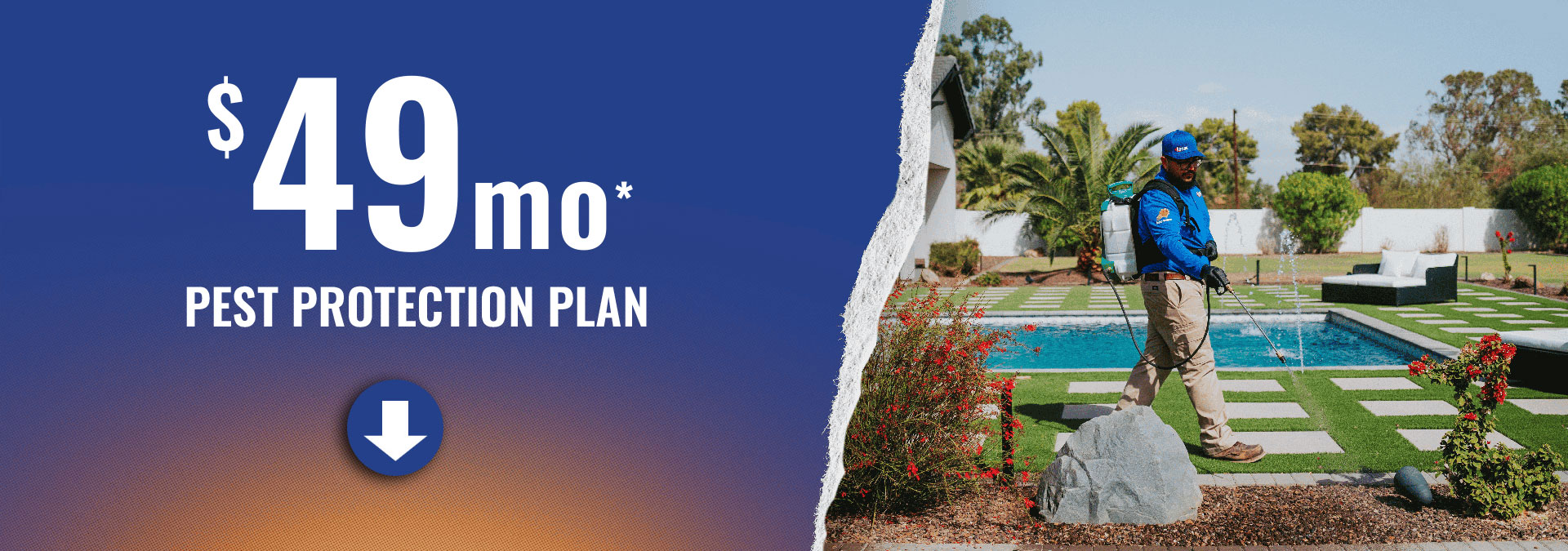 $49mo Pest Protection Plan