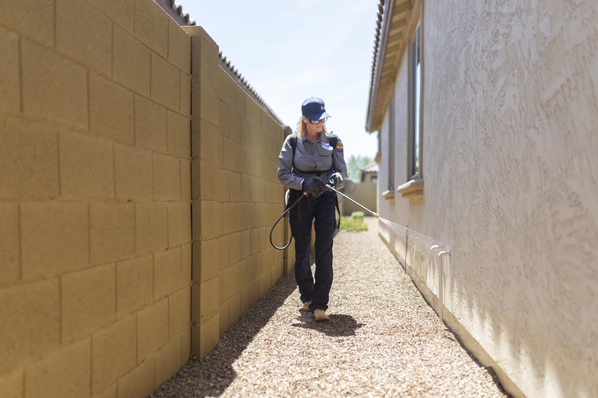 What is average cost for pest control Arizona?