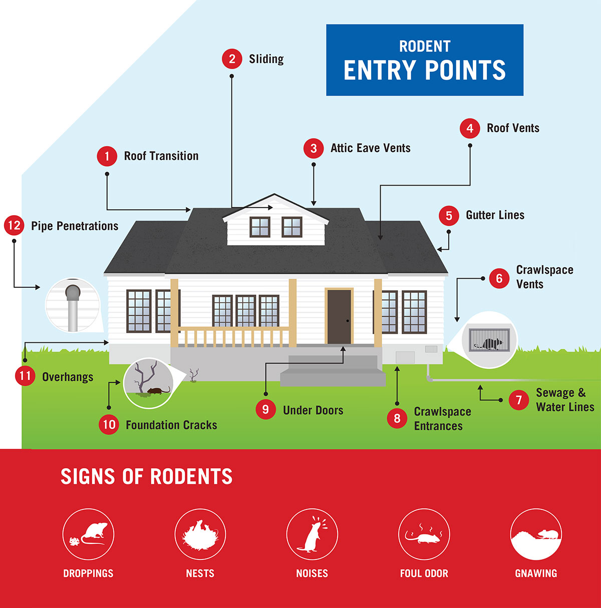 Know the entry points for rodents into homes graphic - call for details.