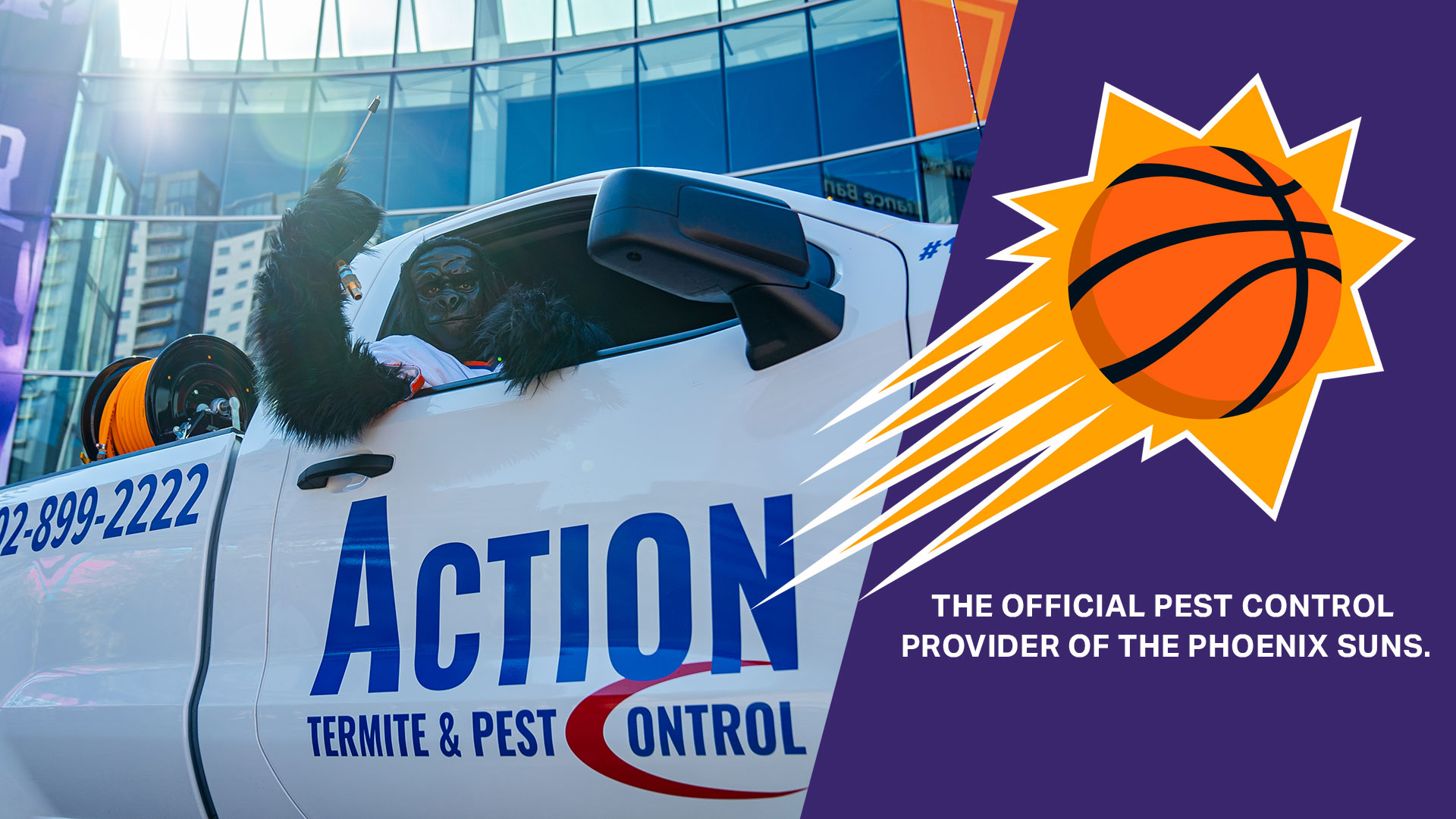 Pest Control Phoenix | Over 5,000 5 Star Reviews | ACTION Termite & Pest  Control