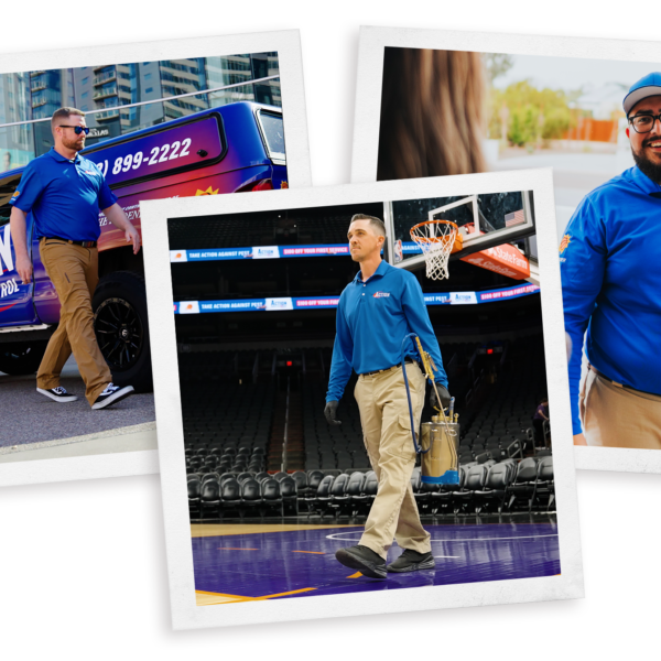 Three men in blue shirts walking