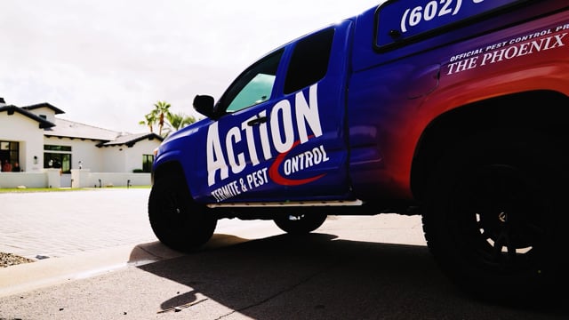 Action pest truck